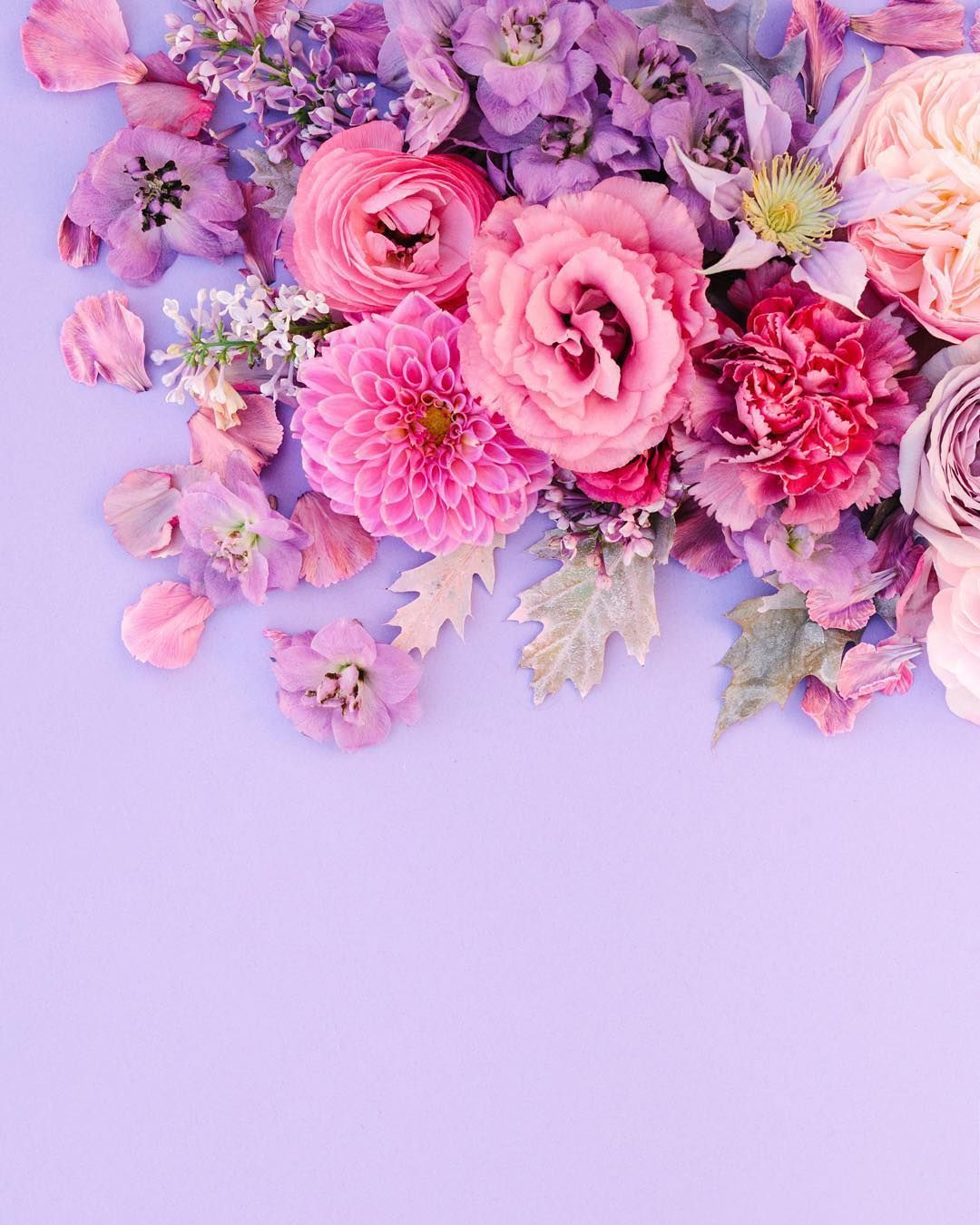 Pink And Purple Flower Wallpapers