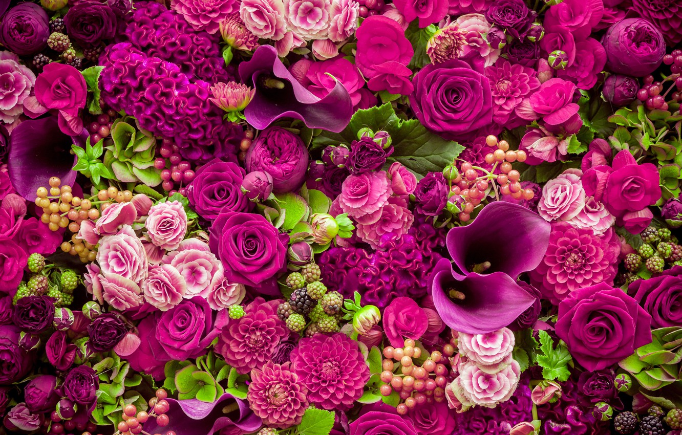 Pink And Purple Flower Wallpapers