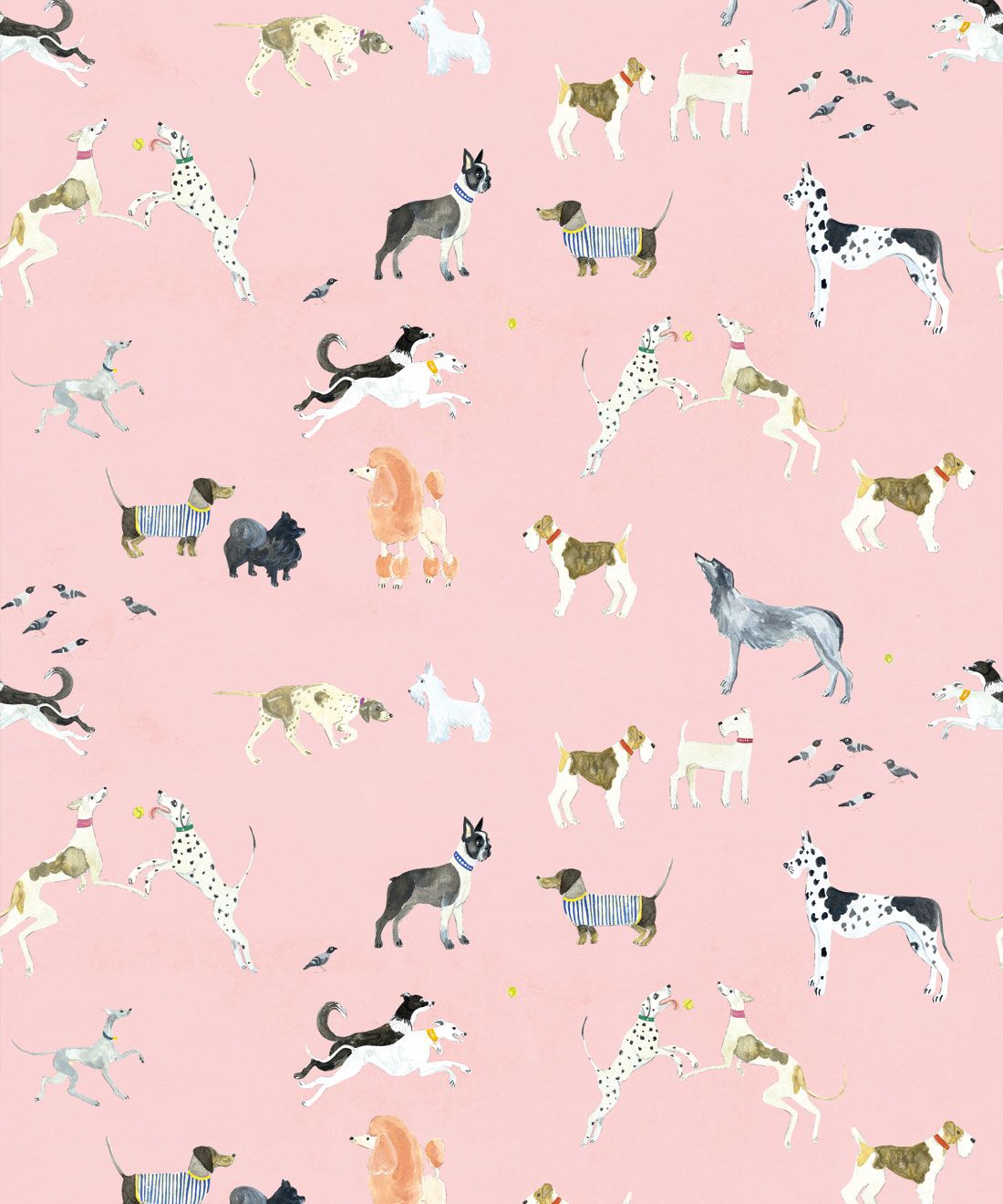 Pink And White Dogs Wallpapers