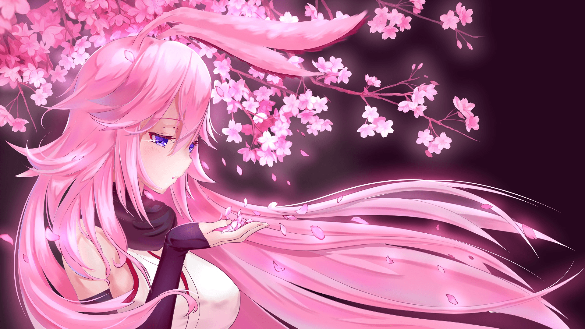 Pink Anime Wallpapers