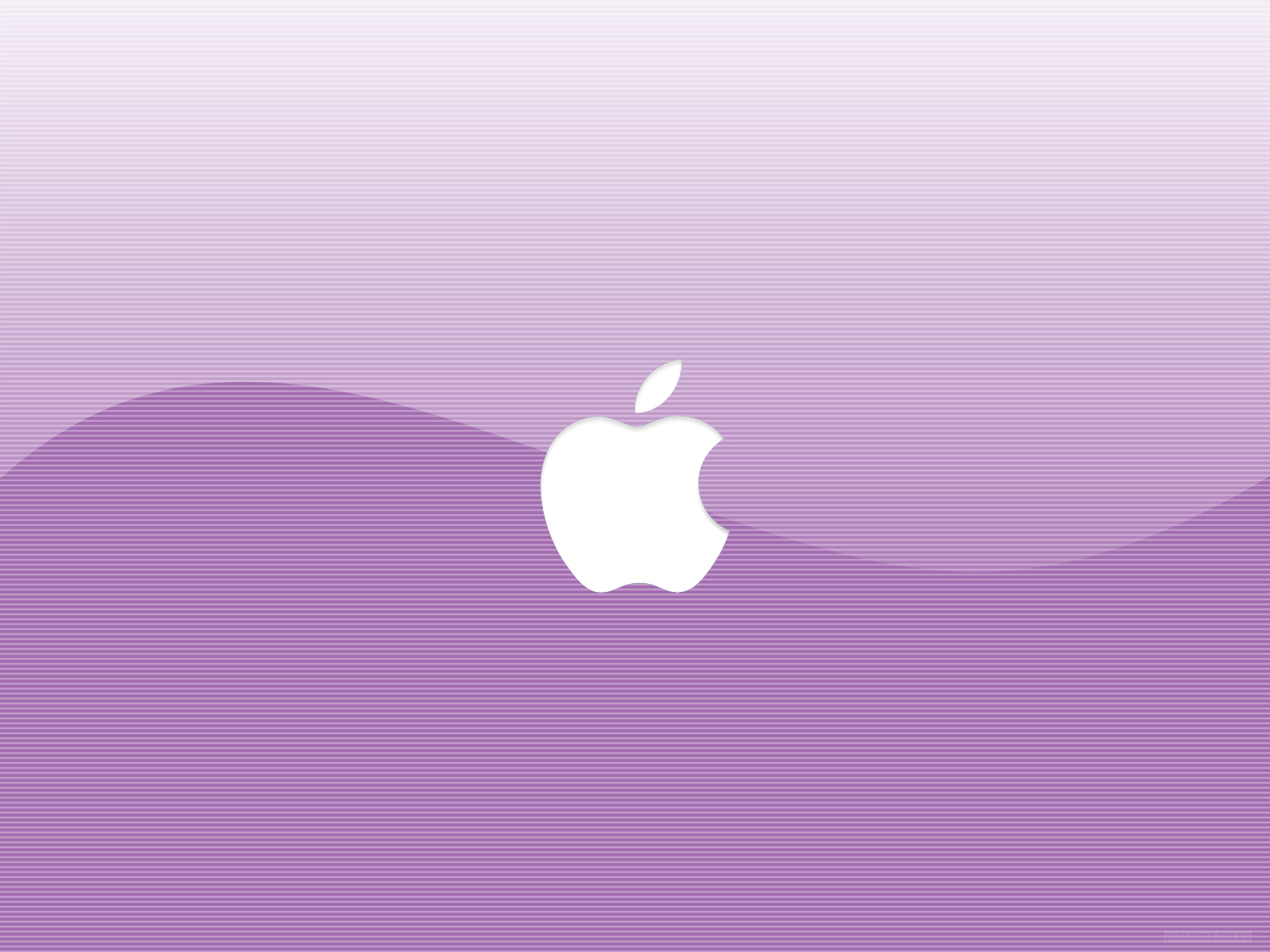 Pink Apple Logo Wallpapers