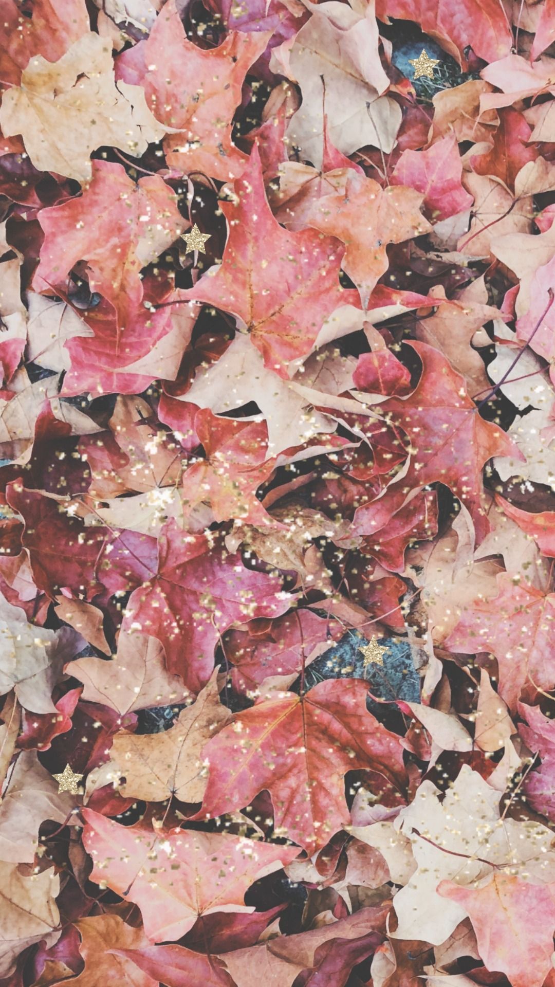 Pink Autumn Wallpapers