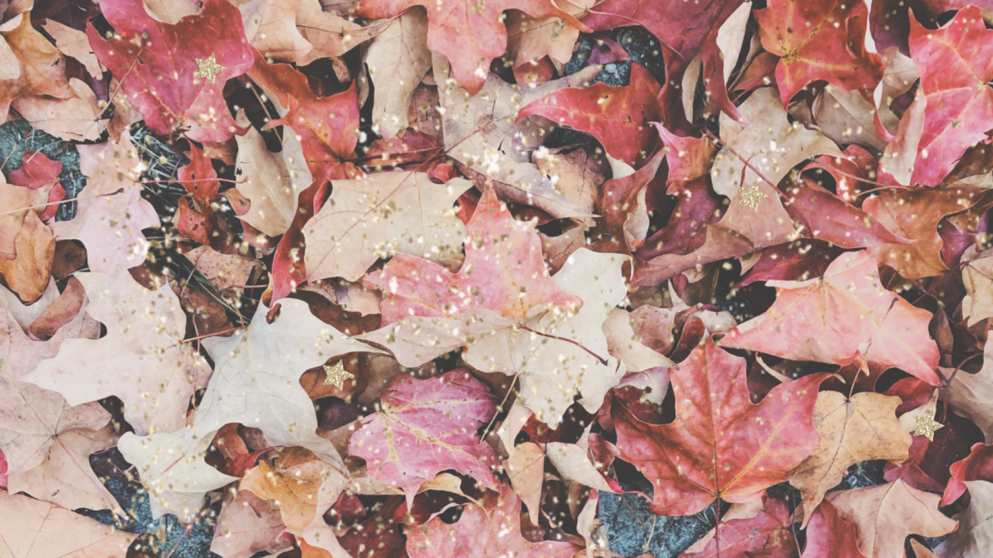 Pink Autumn Wallpapers