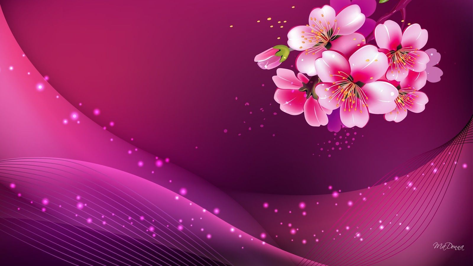 Pink Beauty Wallpapers