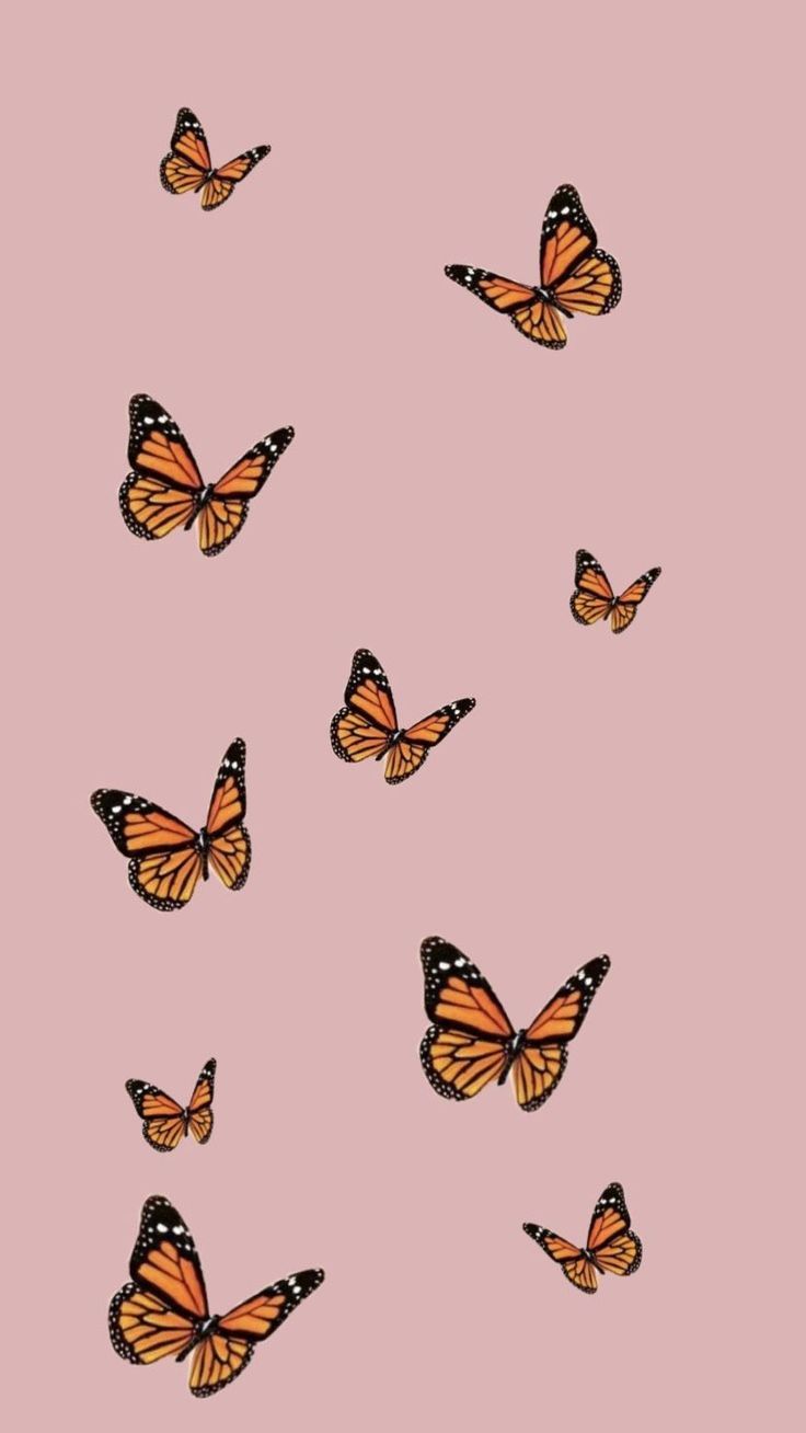 Pink Butterfly Wallpapers