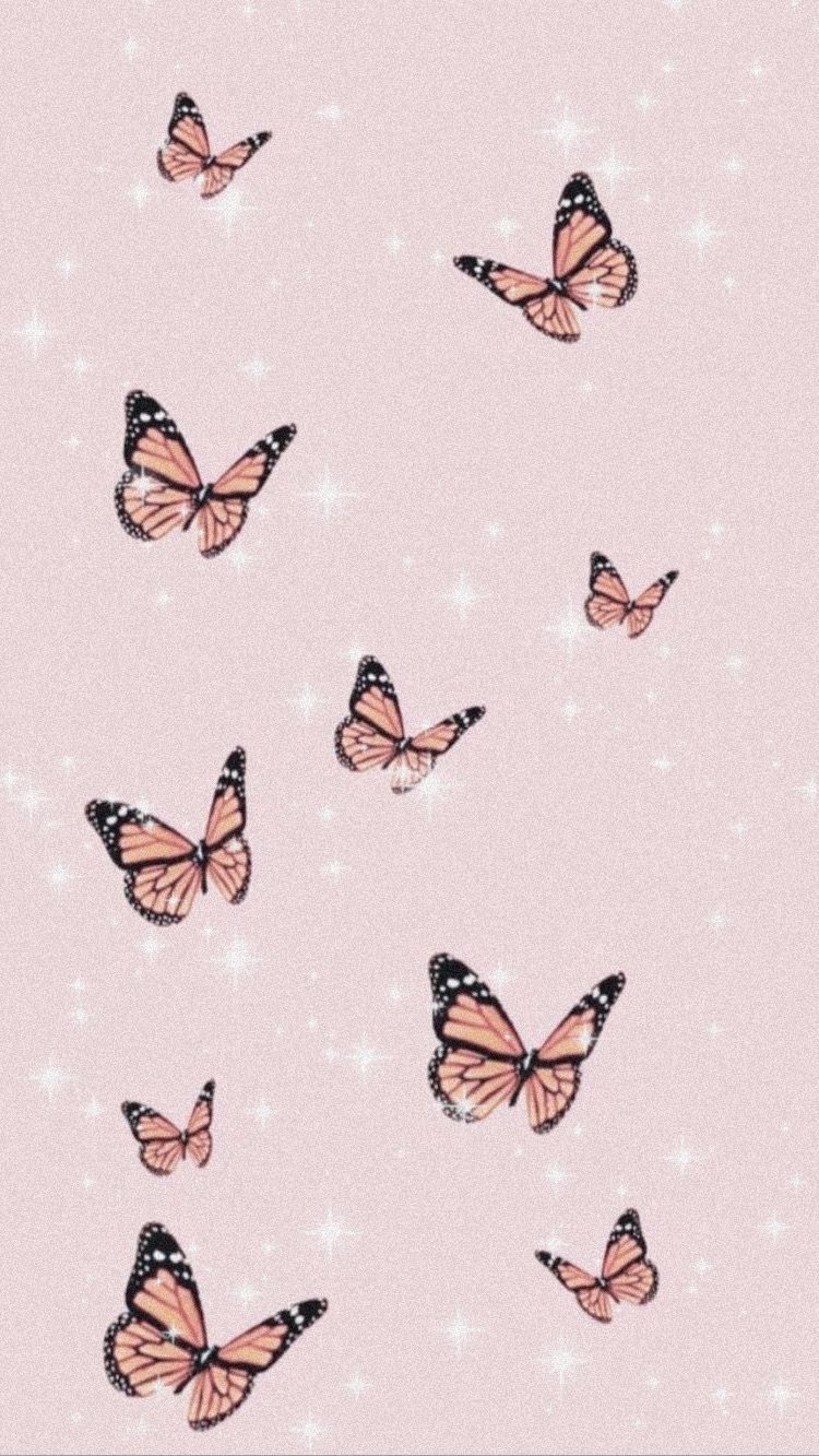 Pink Butterfly Phone Wallpapers