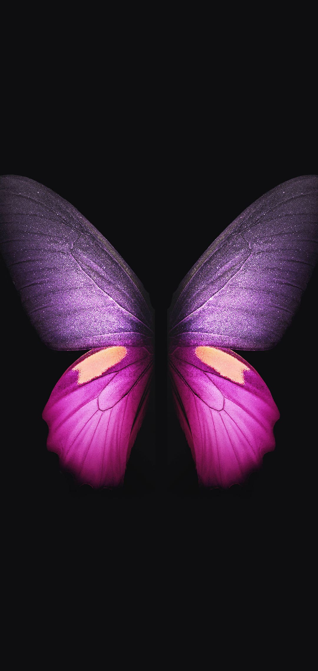 Pink Butterfly Phone Wallpapers