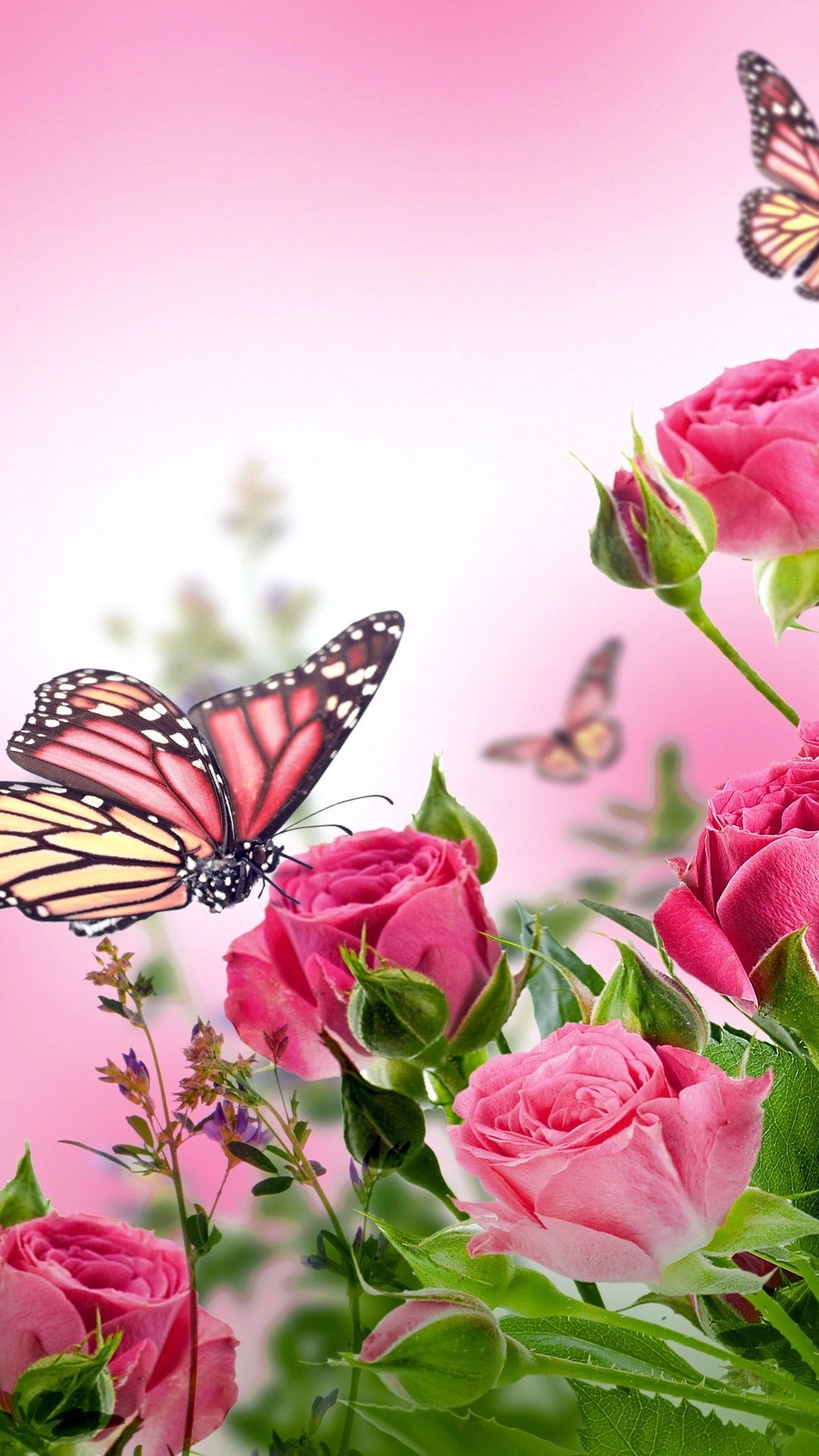 Pink Butterfly Phone Wallpapers