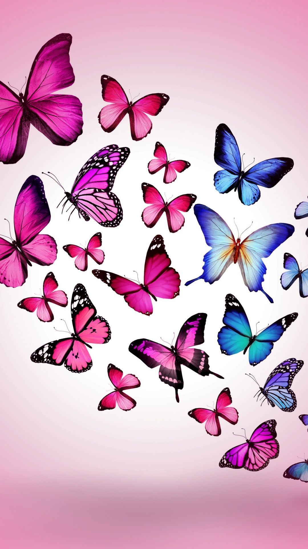 Pink Butterfly Phone Wallpapers