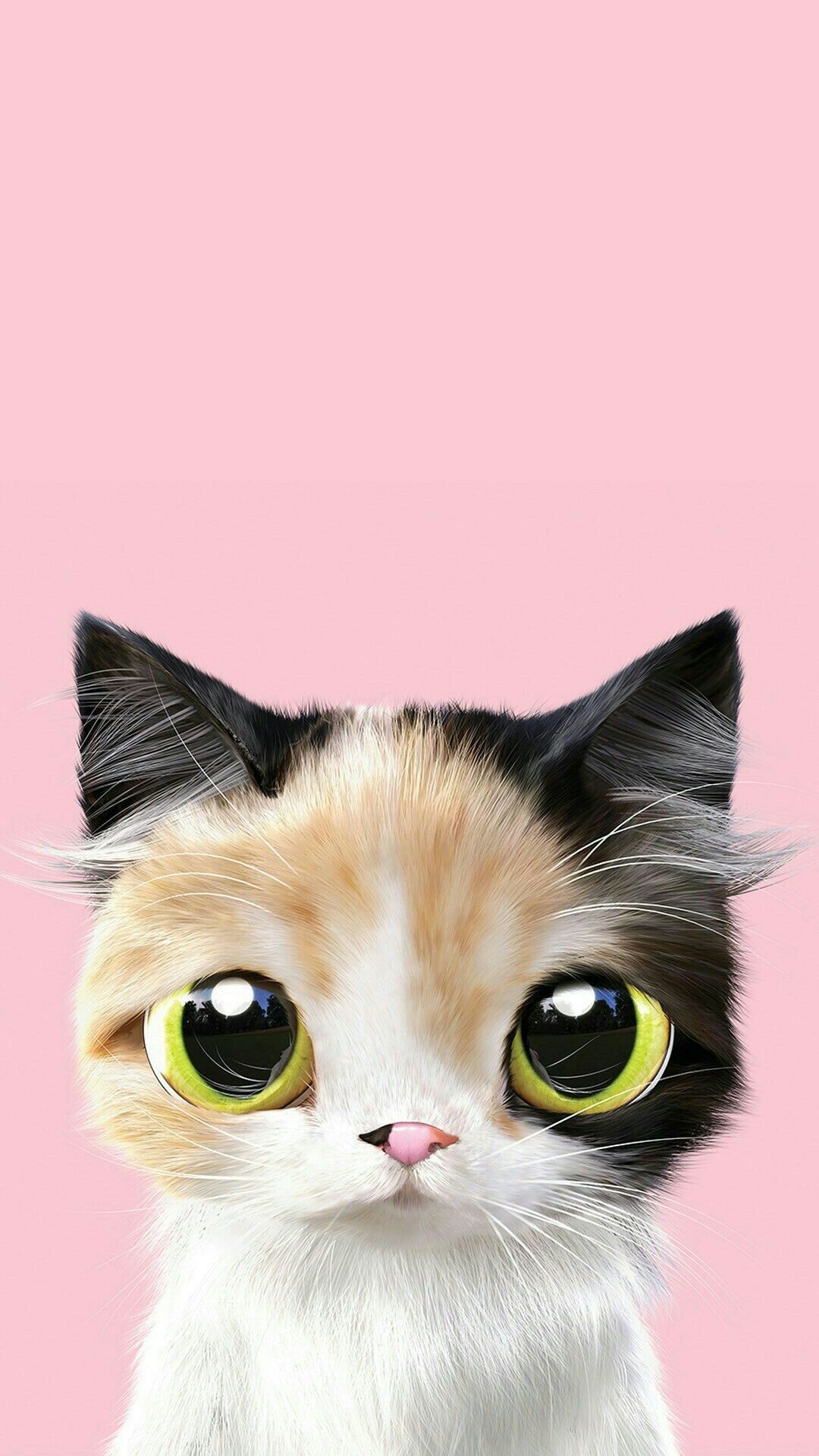 Pink Cat Wallpapers