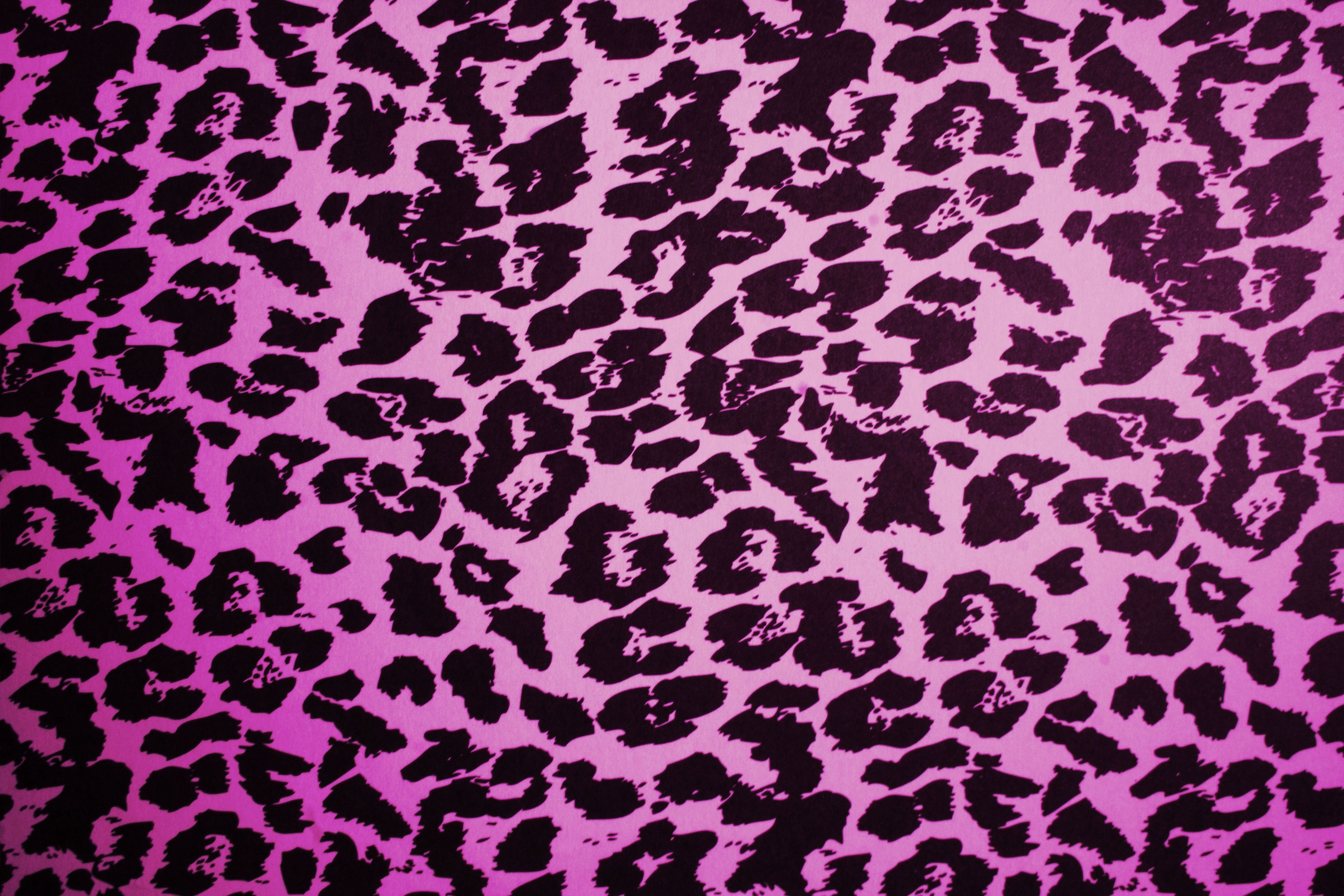 Pink Cow Print Wallpapers