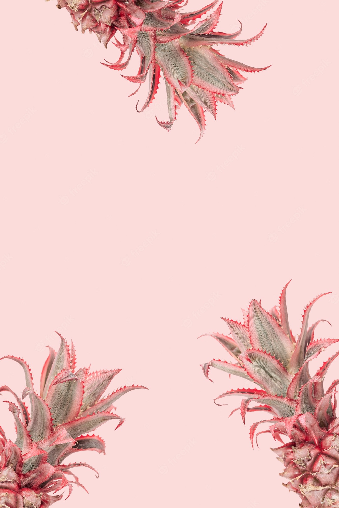 Pink Cute Pineapple Iphone Wallpapers