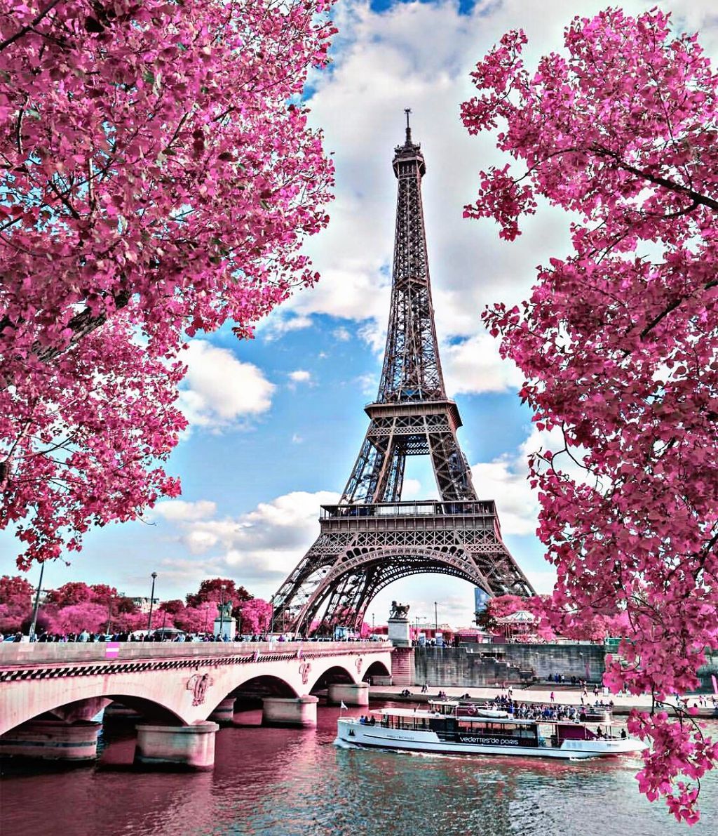 Pink Eiffel Tower Wallpapers