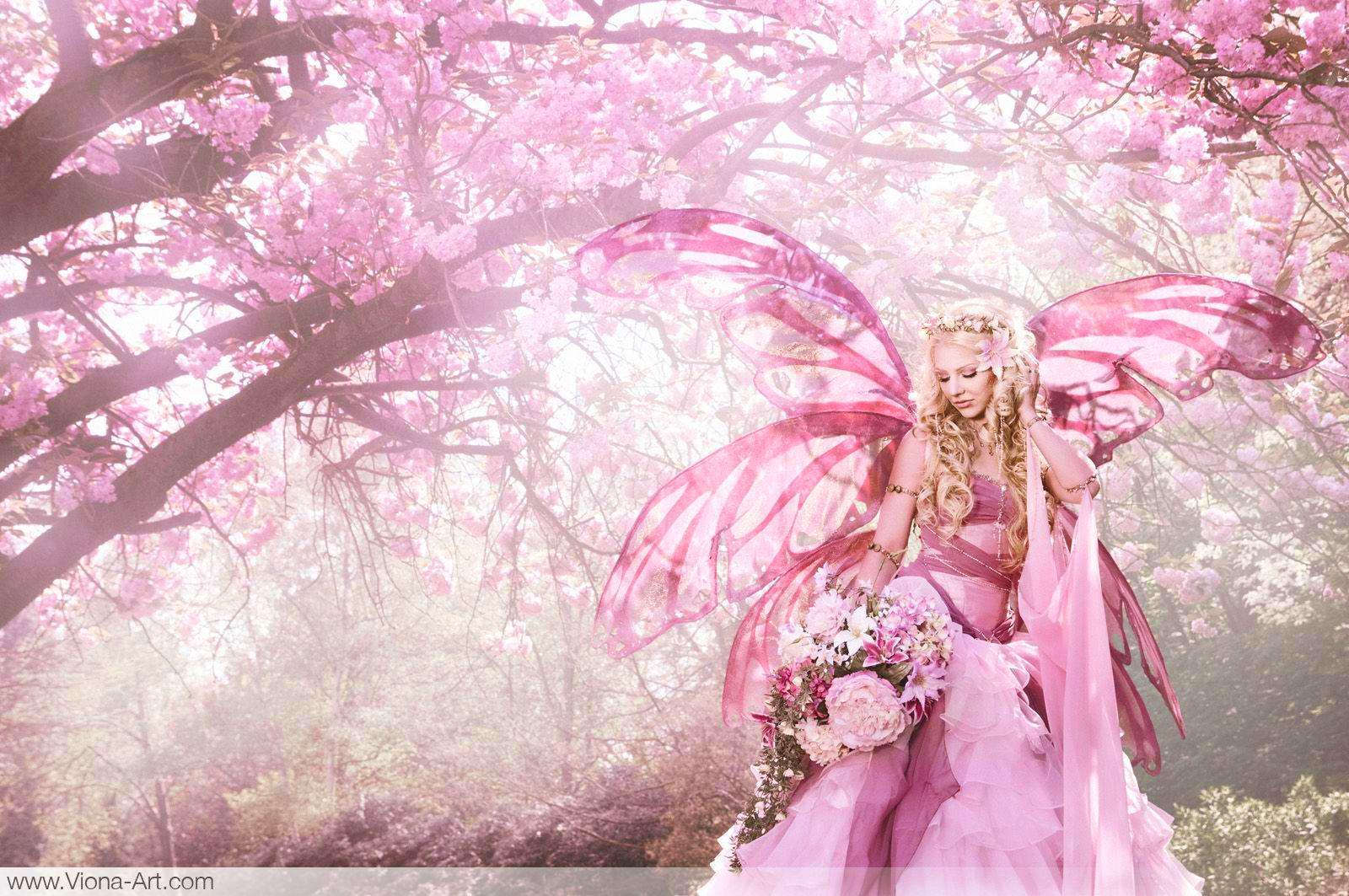 Pink Fairy Wallpapers