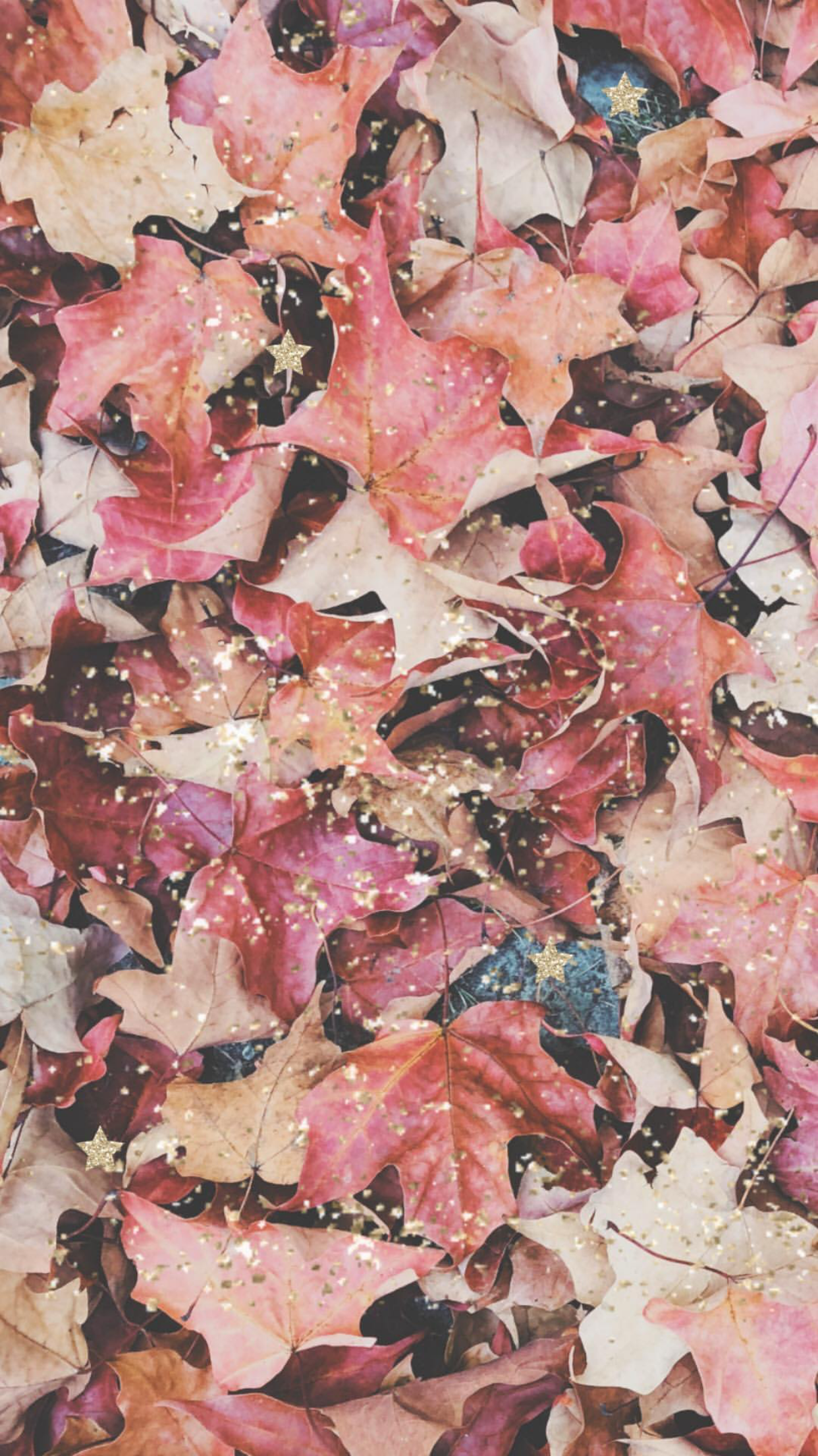 Pink Fall Wallpapers