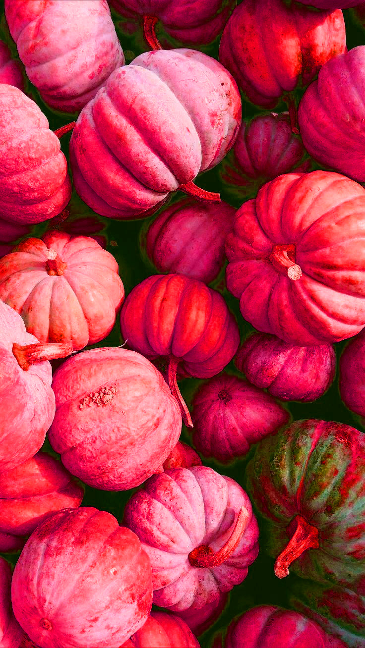 Pink Fall Wallpapers