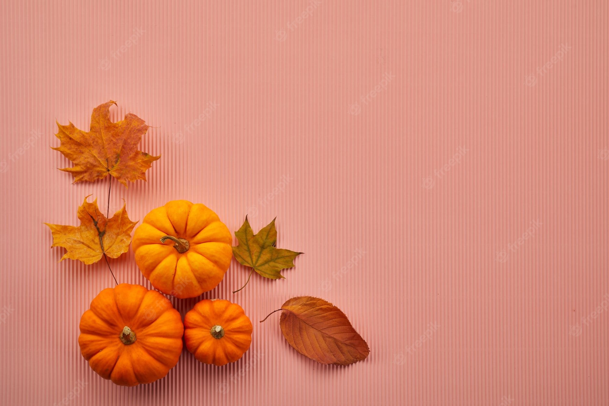 Pink Fall Wallpapers