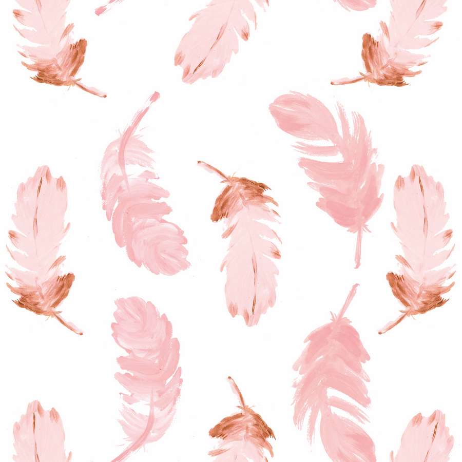 Pink Feathers Wallpapers