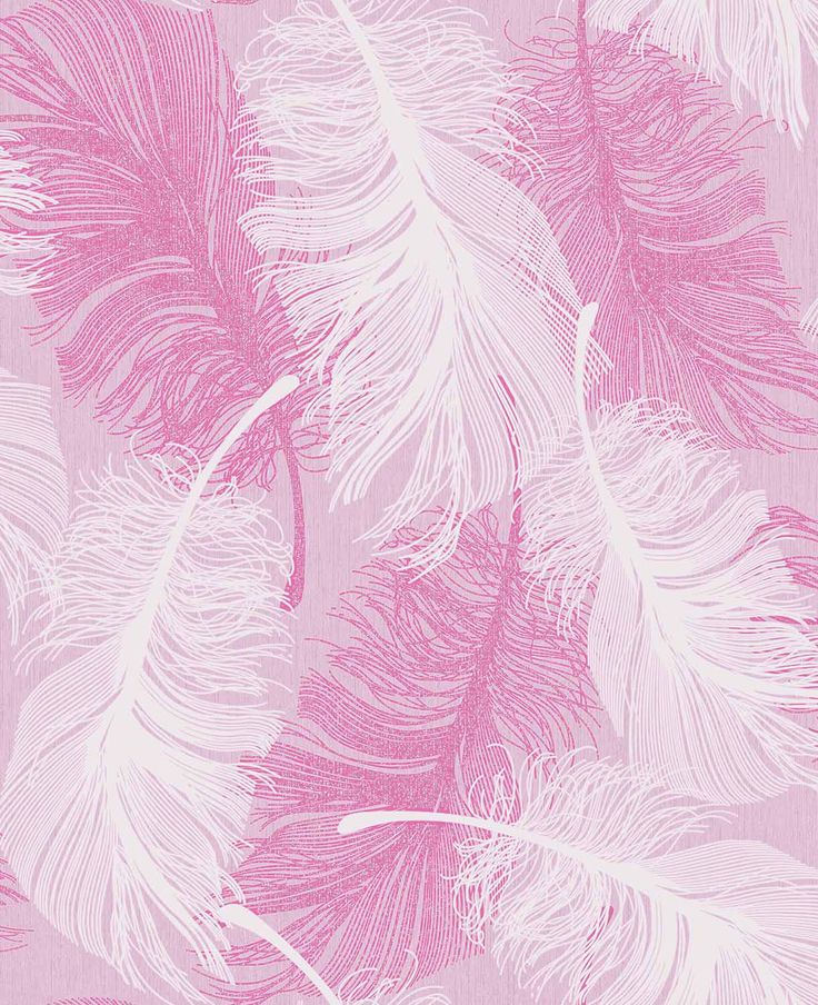 Pink Feathers Wallpapers