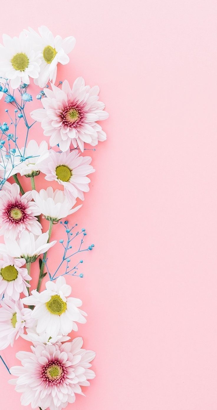 Pink Floral Iphone Wallpapers