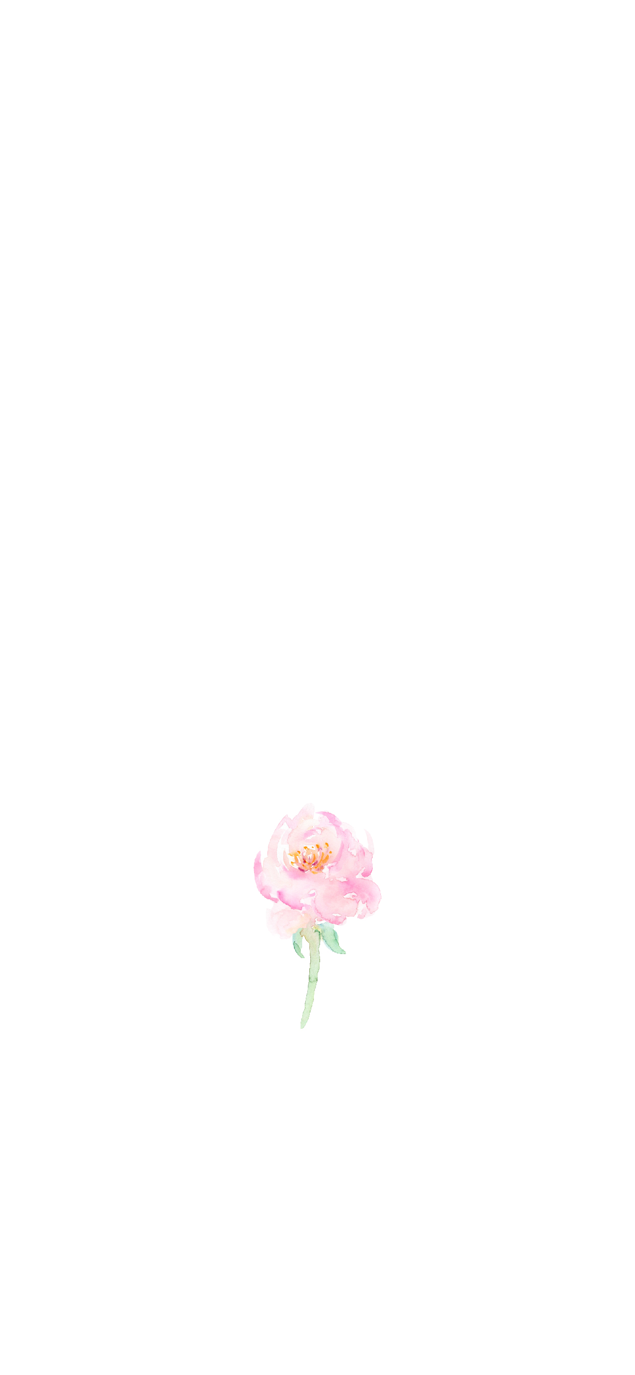 Pink Floral Iphone Wallpapers