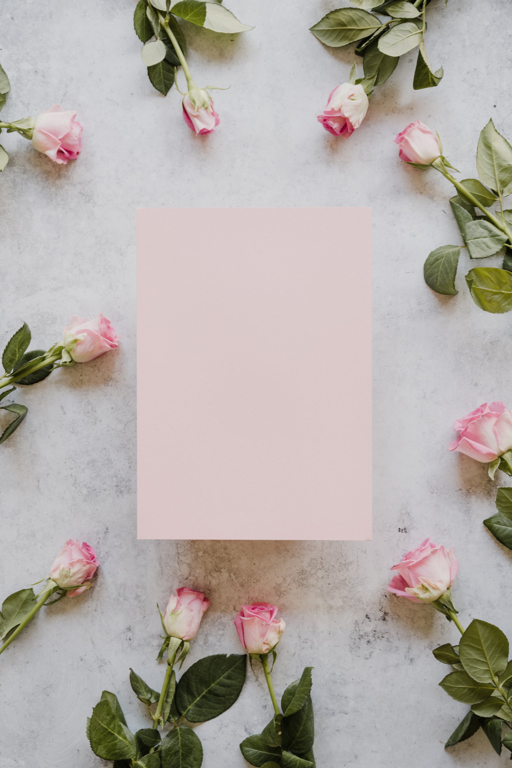 Pink Floral Iphone Wallpapers