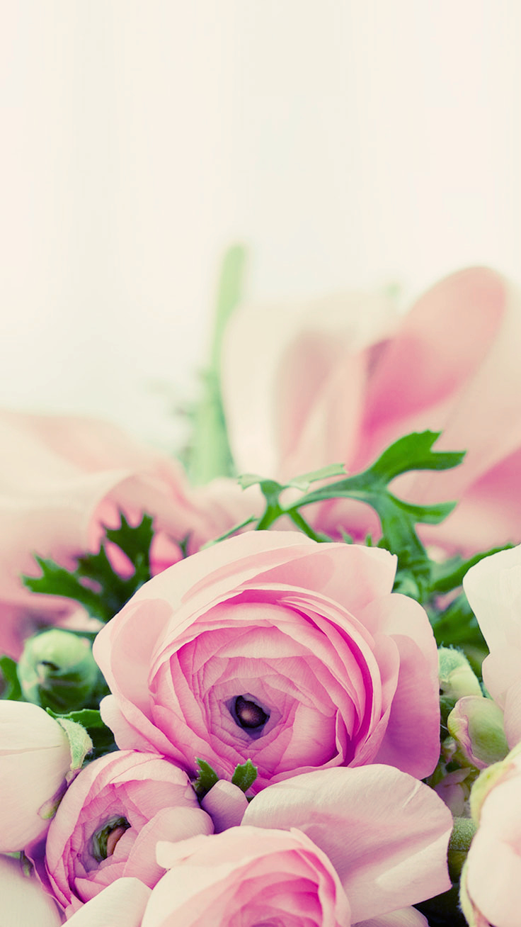 Pink Floral Iphone Wallpapers