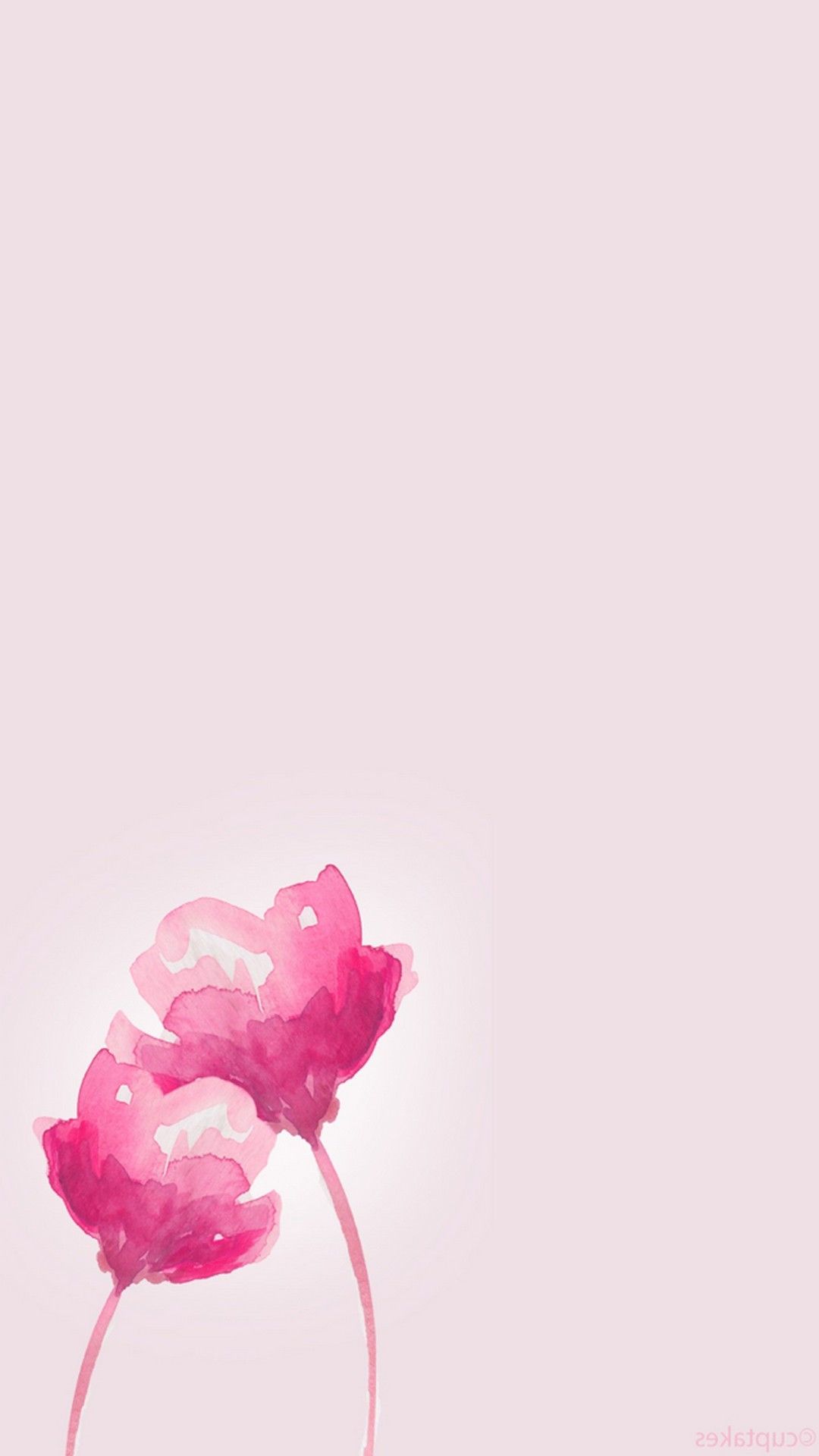 Pink Flower Cartoon Wallpapers