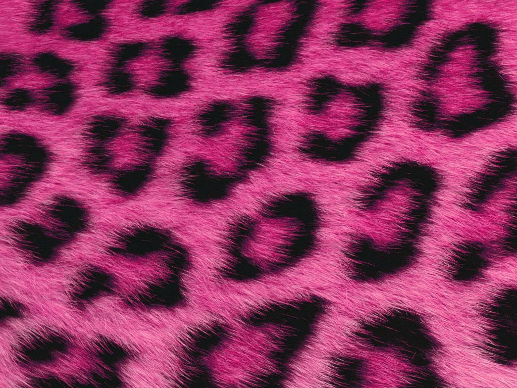 Pink Fur Wallpapers