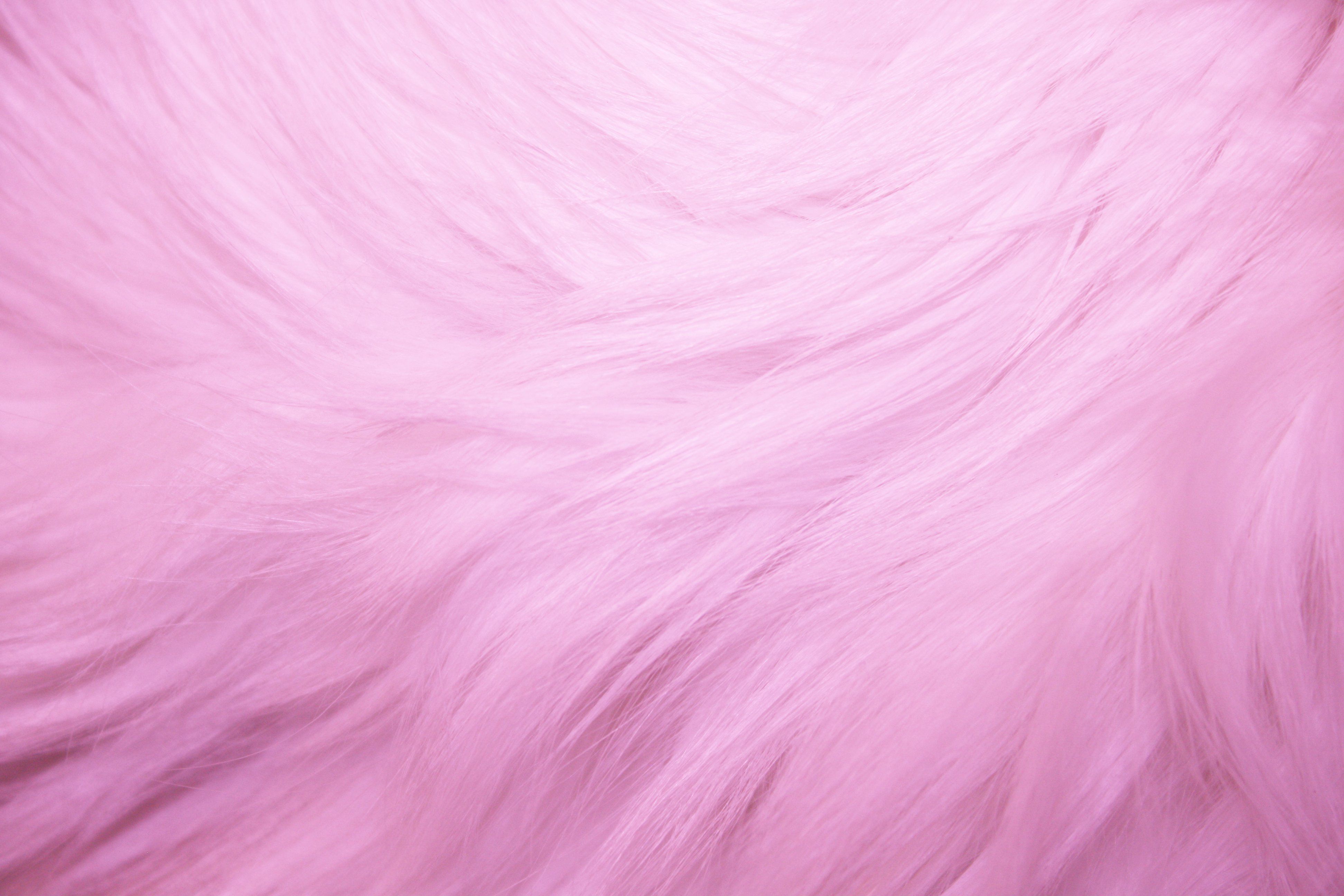 Pink Fur Wallpapers