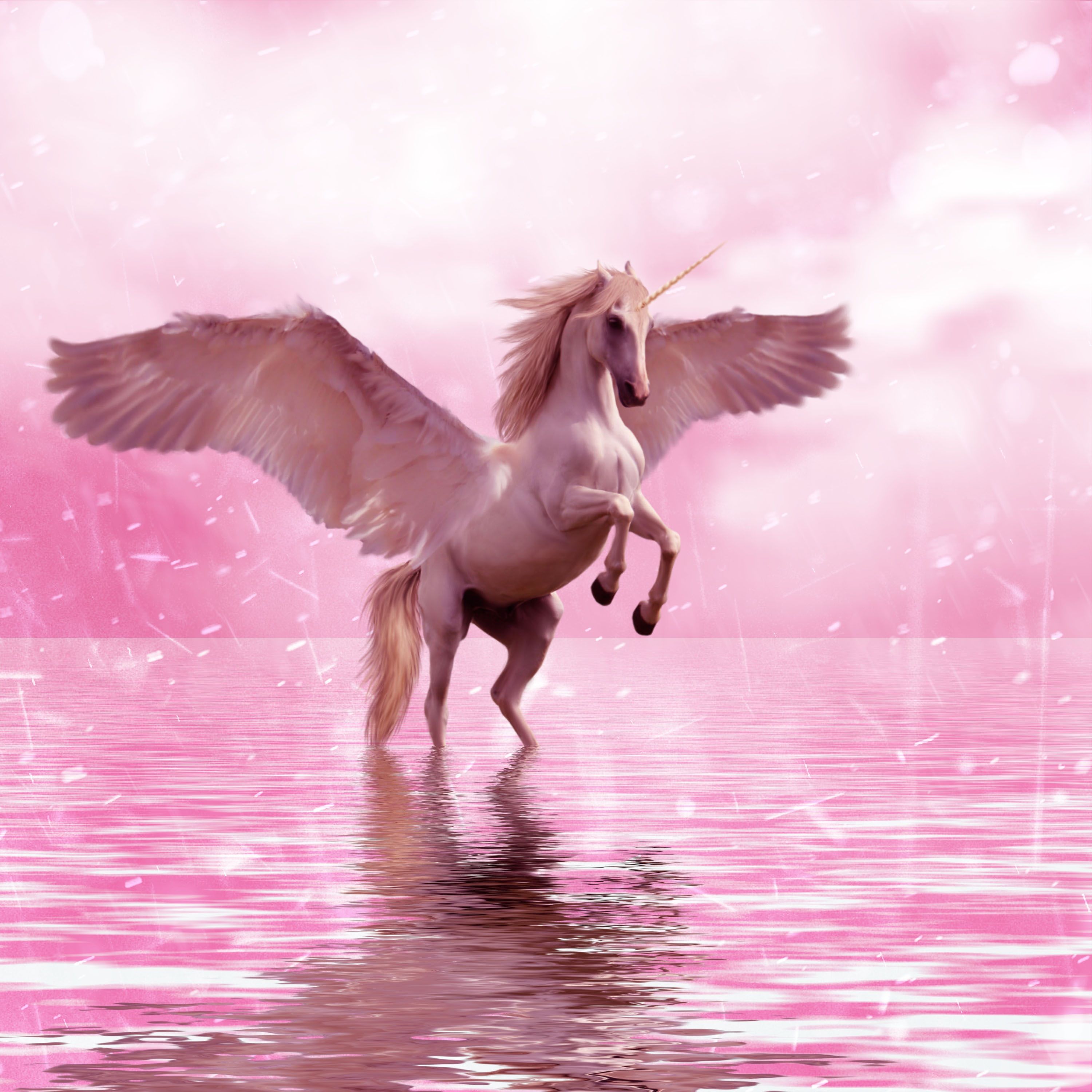 Pink Horse Wallpapers