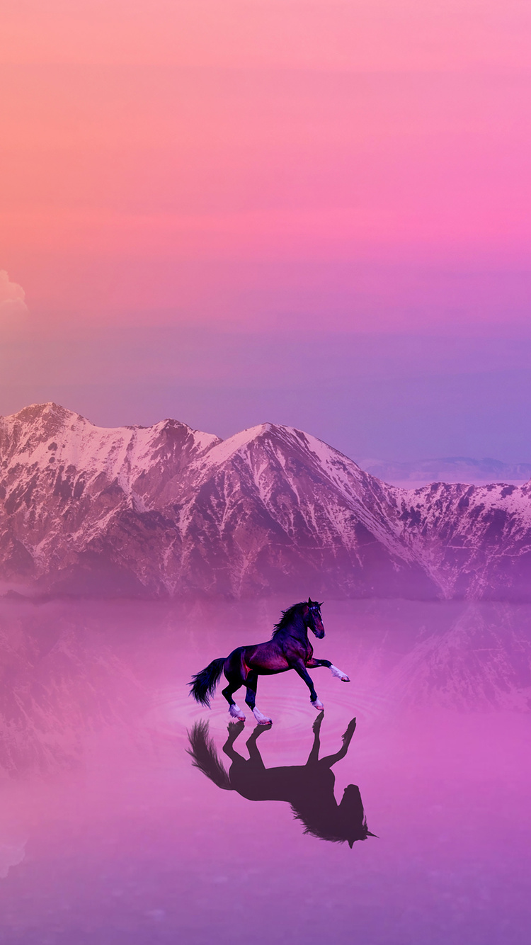 Pink Horse Wallpapers