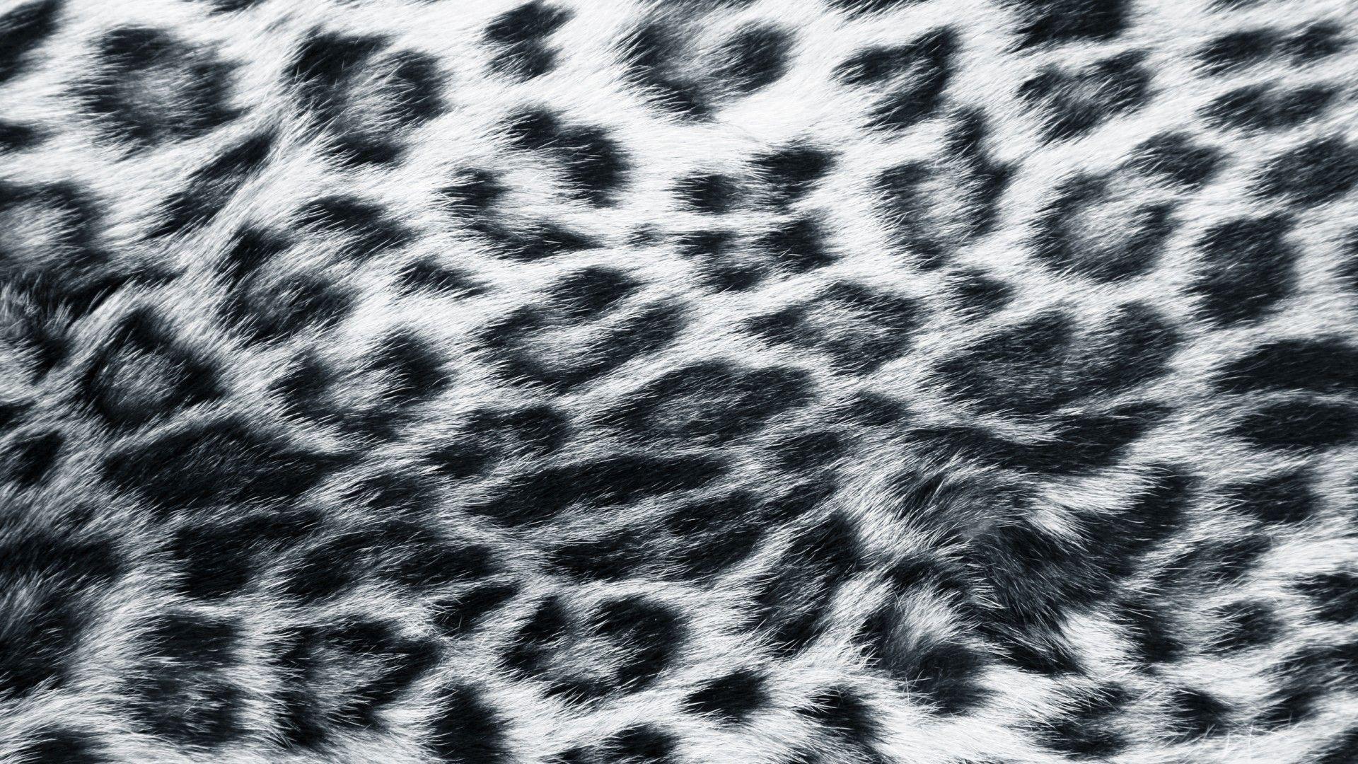 Pink Leopard Fur Wallpapers