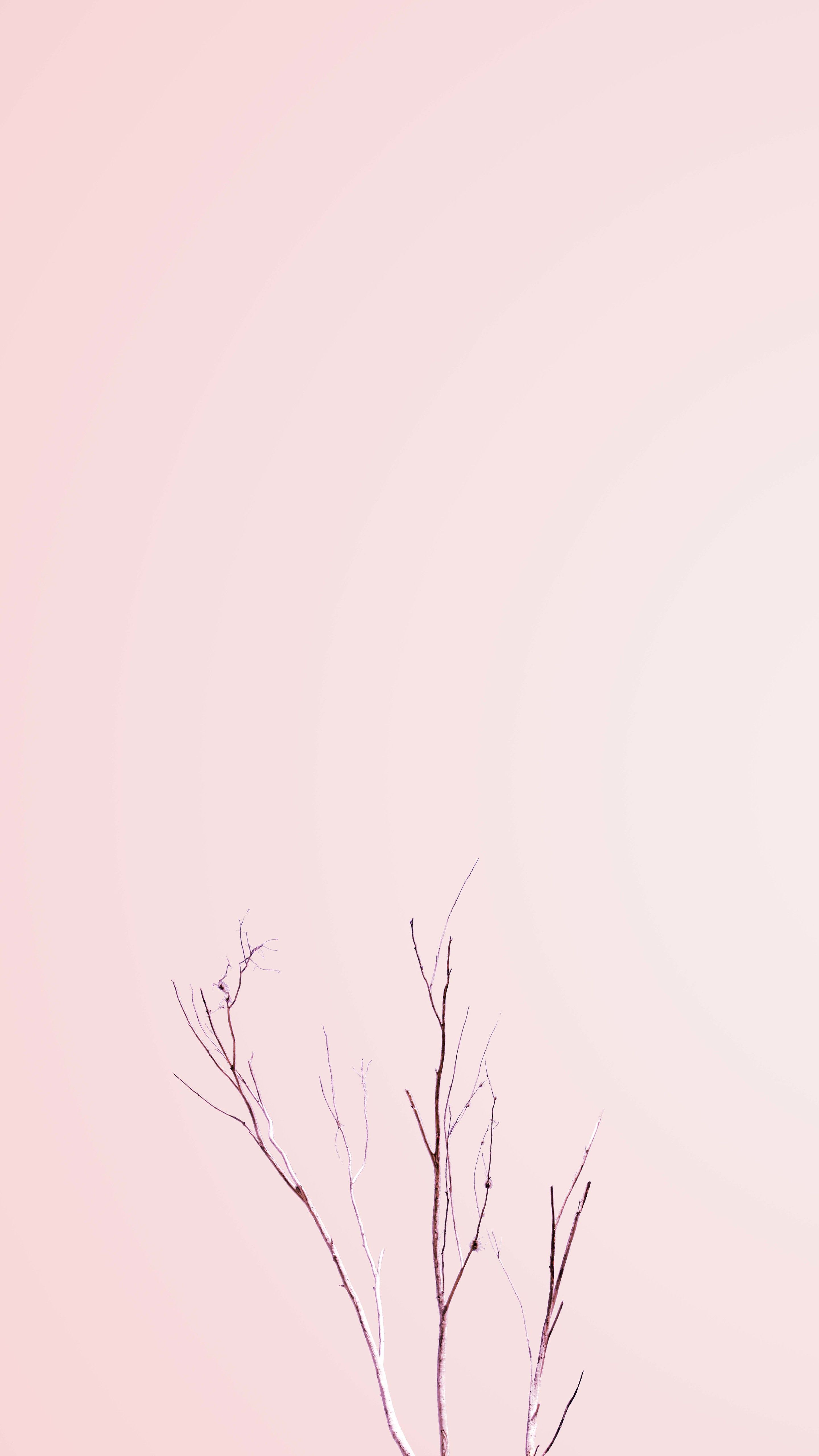 Pink Minimalist Wallpapers