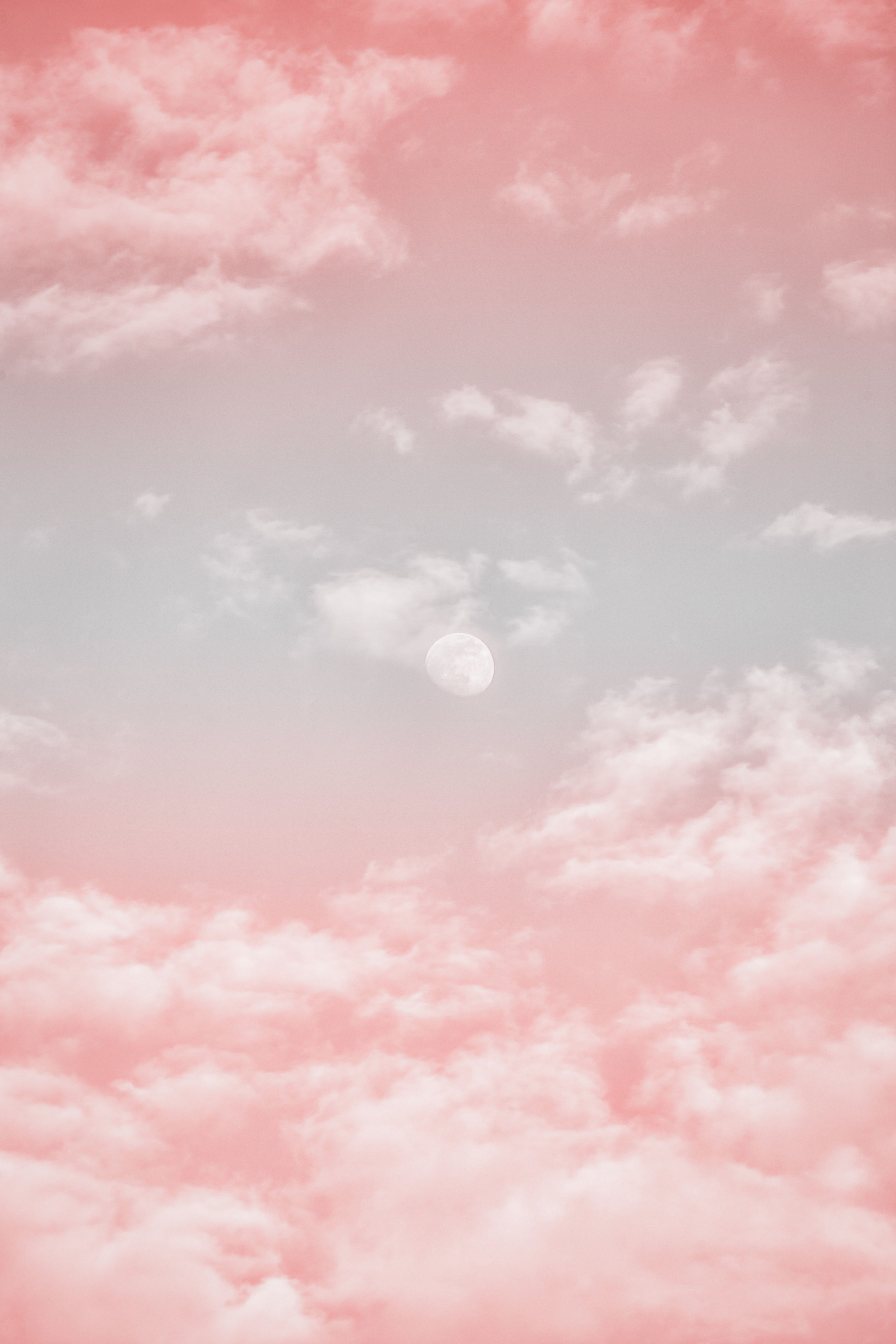 Pink Minimalist Wallpapers