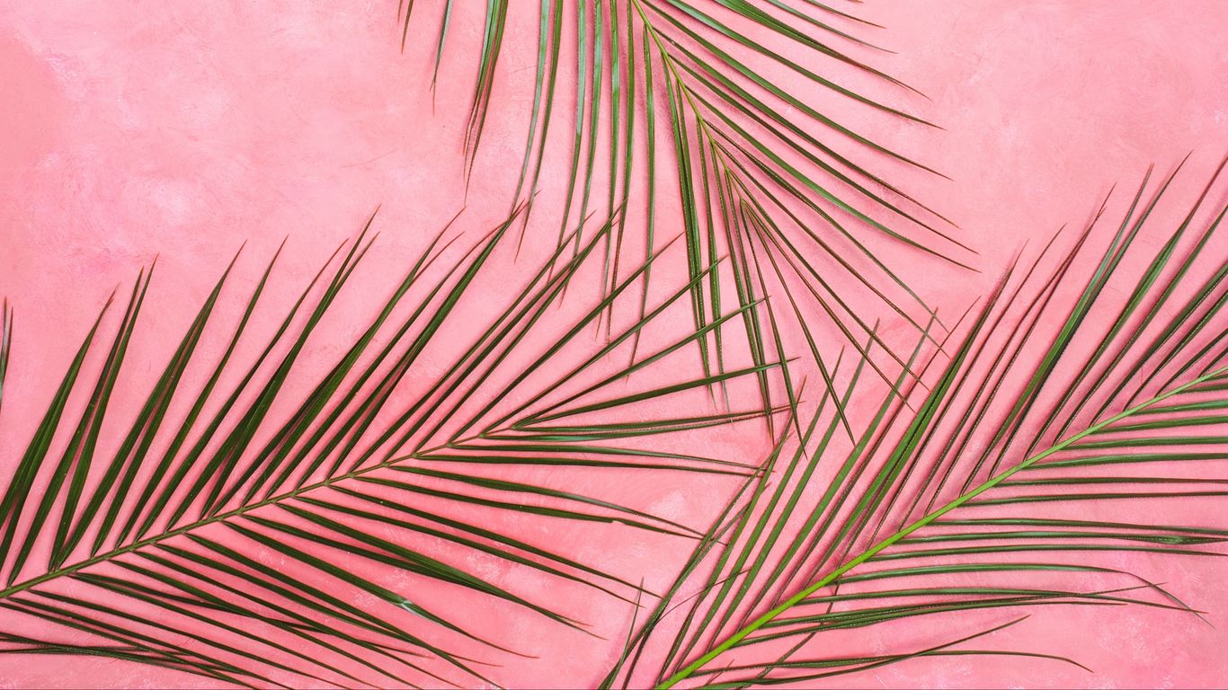 Pink Minimalist Wallpapers