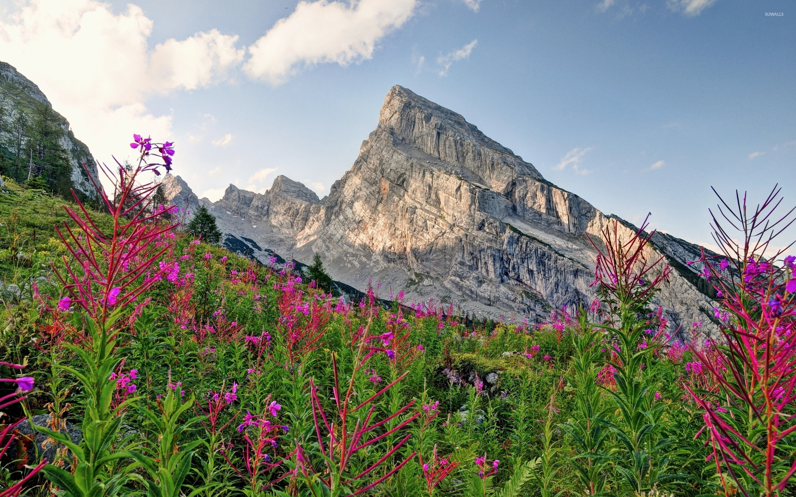 Pink Mountains Wallpapers