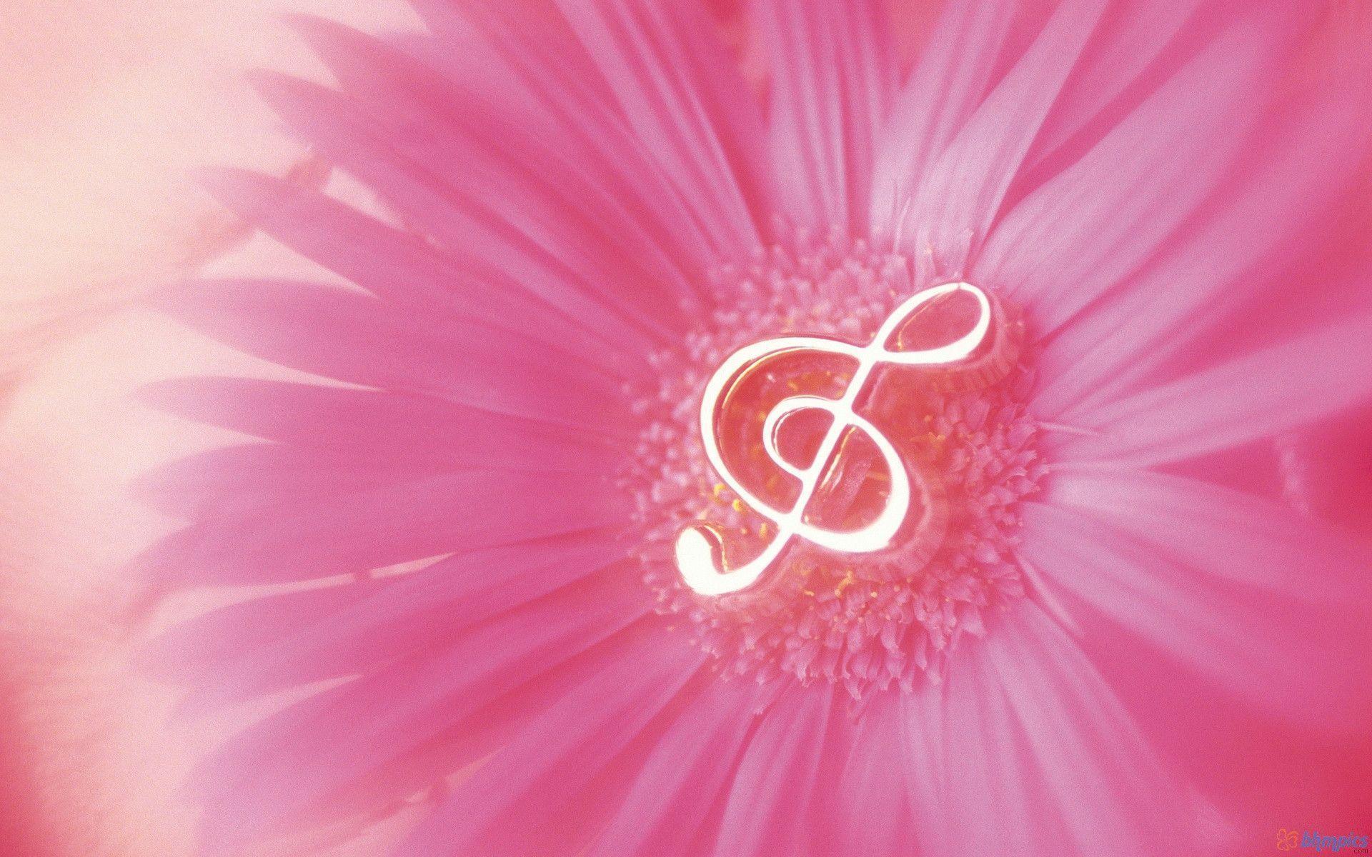 Pink Music Wallpapers