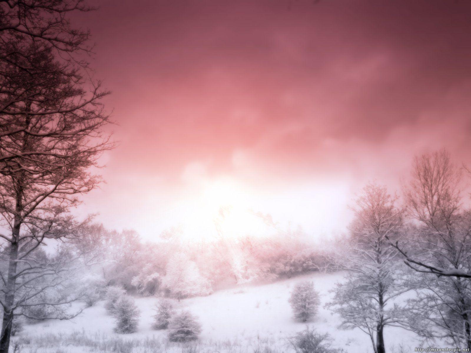 Pink Nature Wallpapers