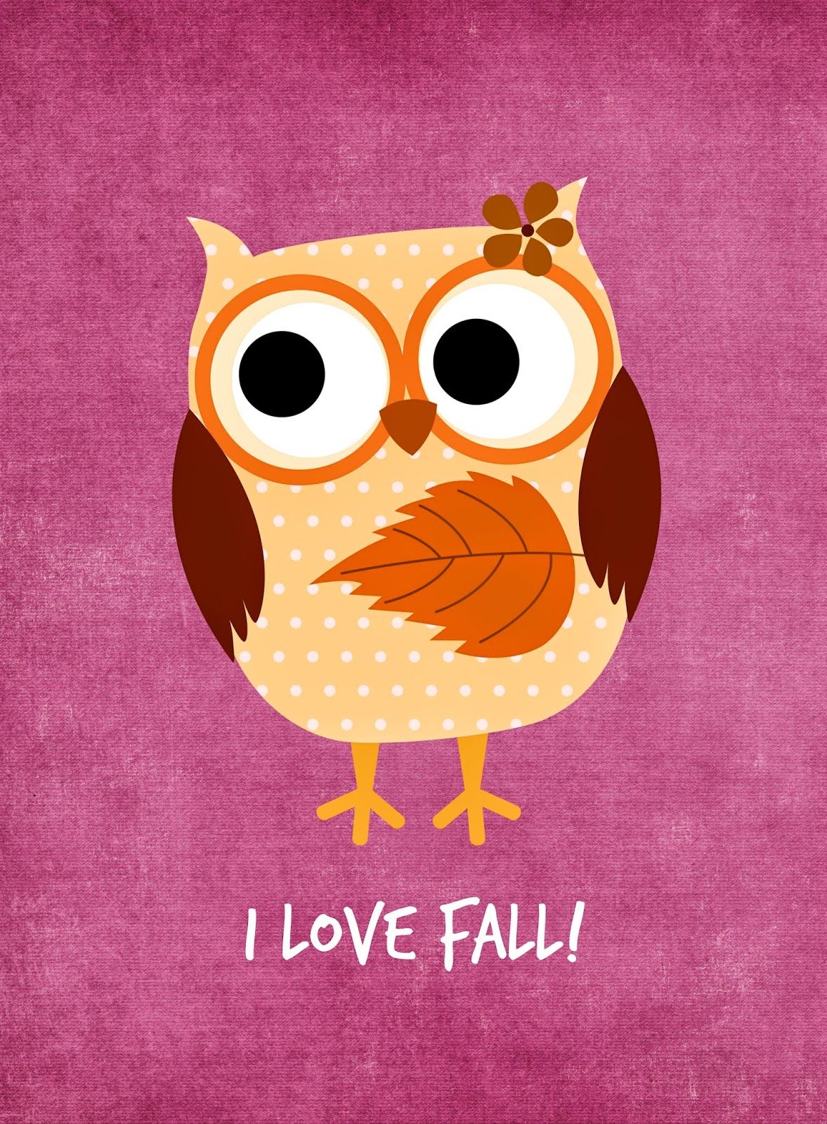 Pink Owl Wallpapers