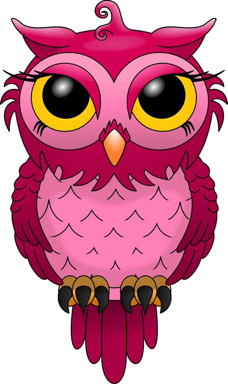 Pink Owl Wallpapers