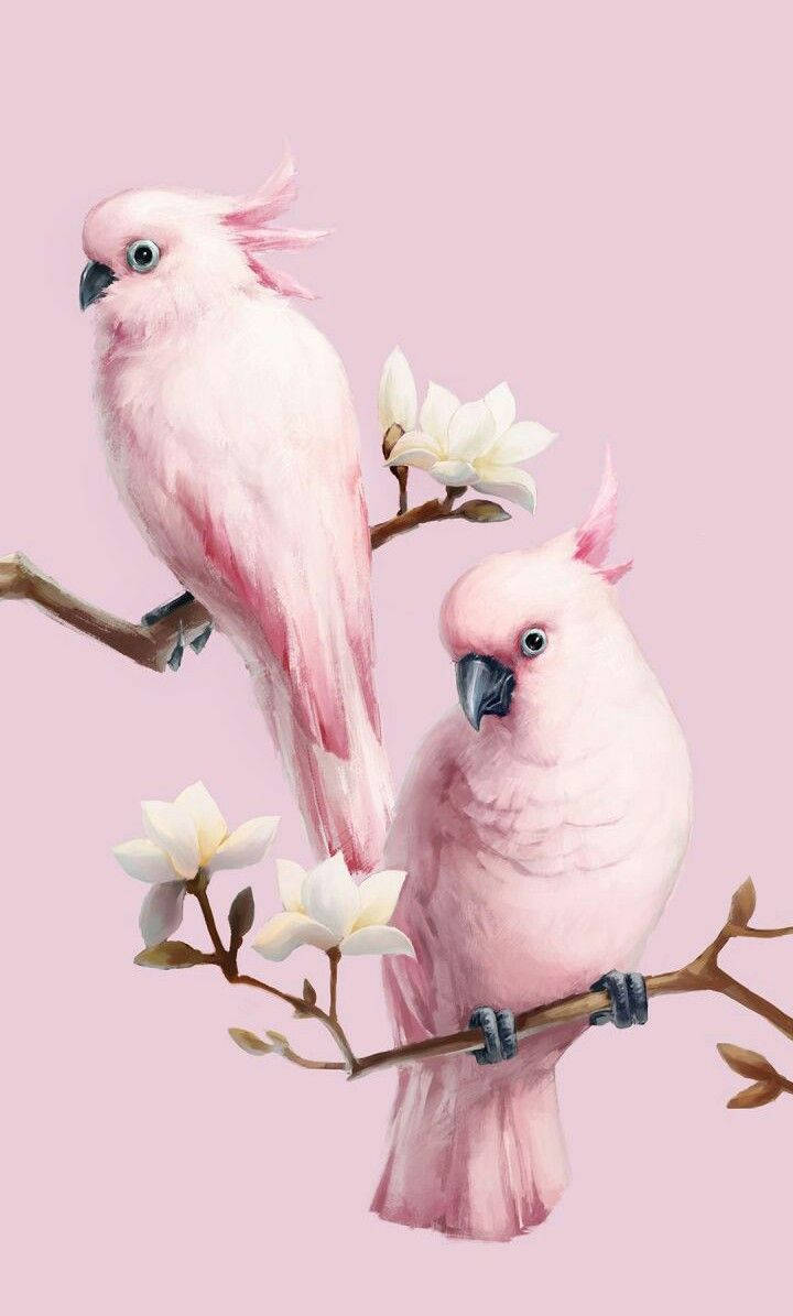 Pink Painting Wallpapers