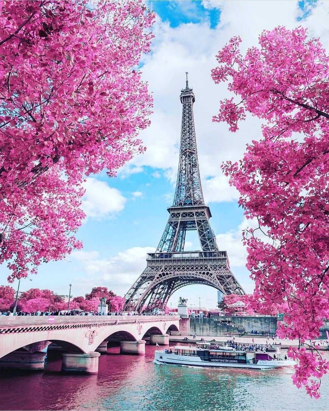 Pink Paris Wallpapers