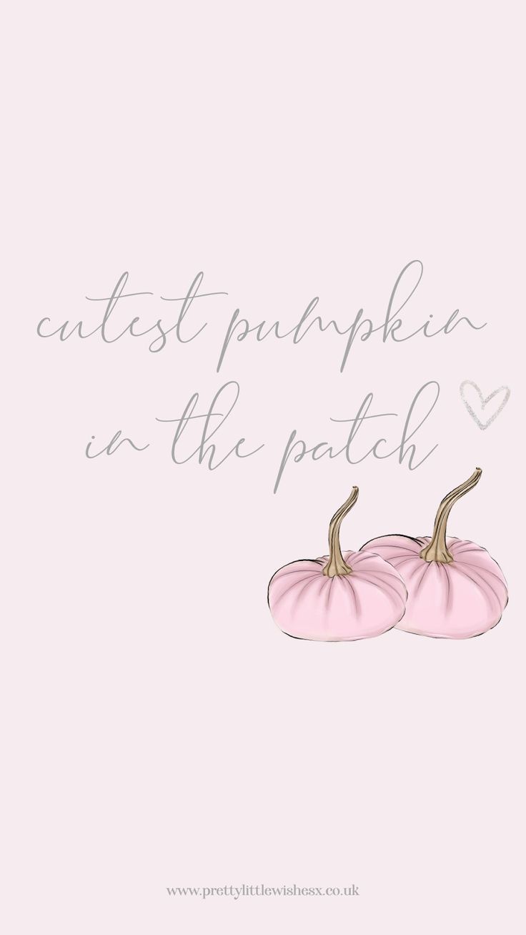 Pink Pumpkin Wallpapers