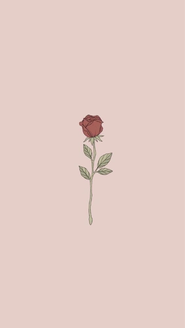 Pink Rose Aesthetic Wallpapers