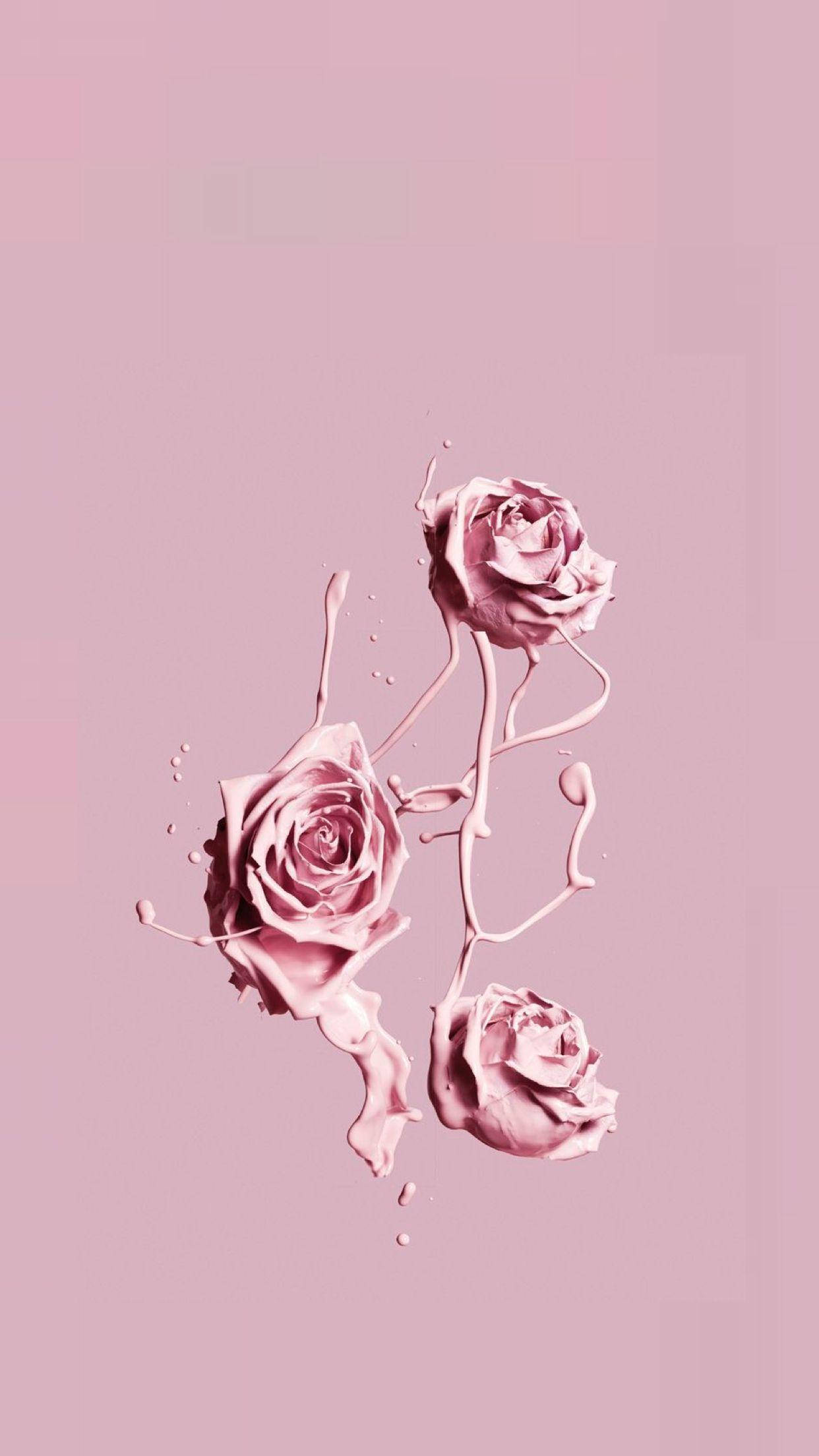 Pink Roses Aesthetic Wallpapers