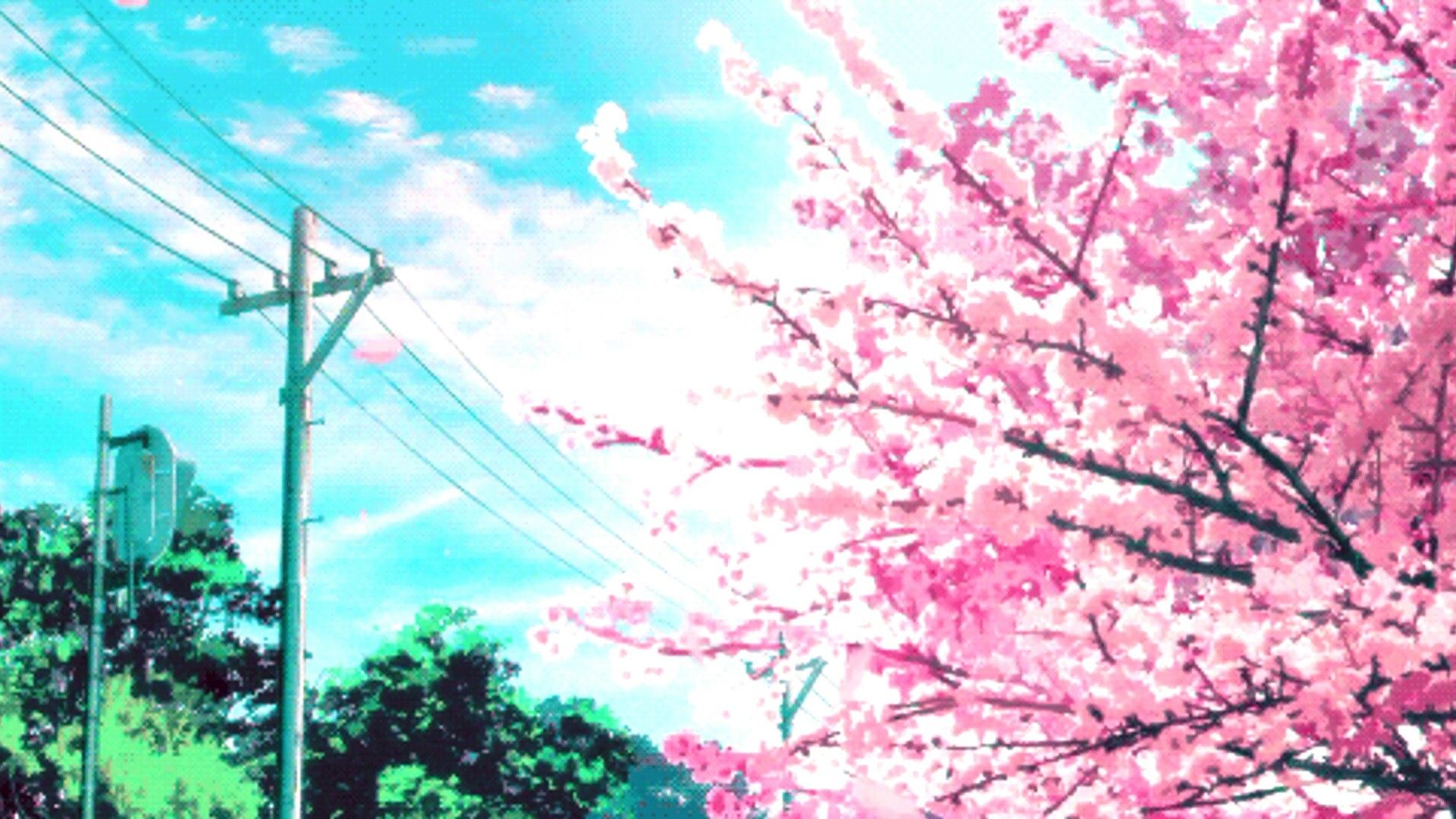 Pink Sakura Tree Anime Aesthetic Wallpapers