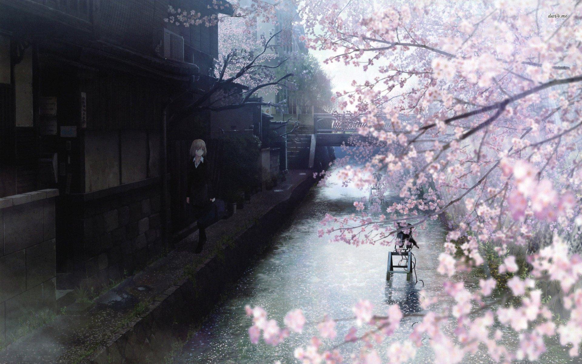 Pink Sakura Tree Anime Aesthetic Wallpapers