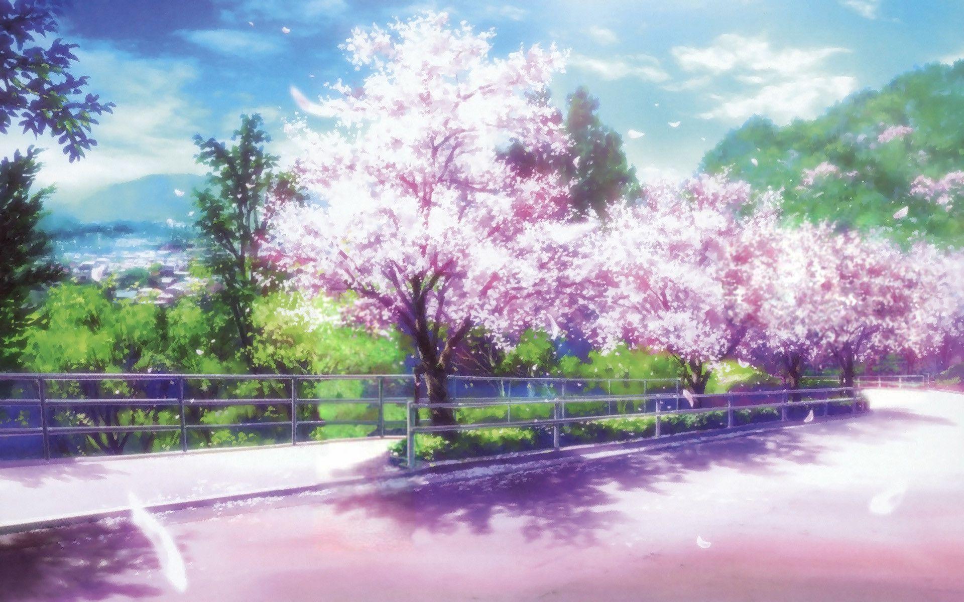 Pink Sakura Tree Anime Aesthetic Wallpapers