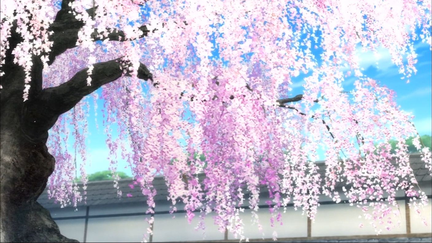 Pink Sakura Tree Anime Aesthetic Wallpapers